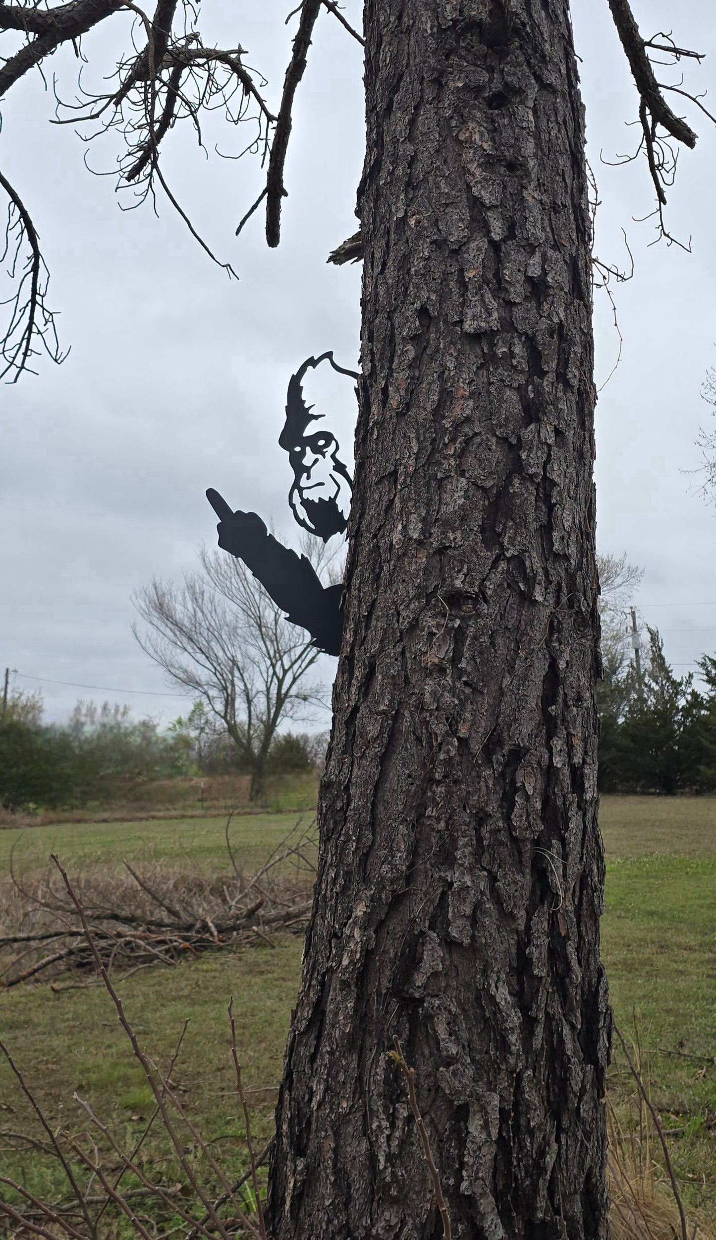 Peek-A-Boo Bigfoot Metal Design