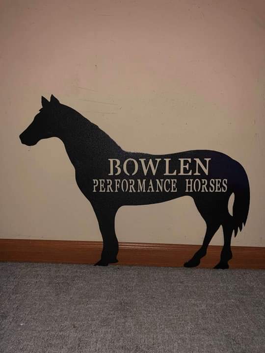 ANY Horse with words you want!